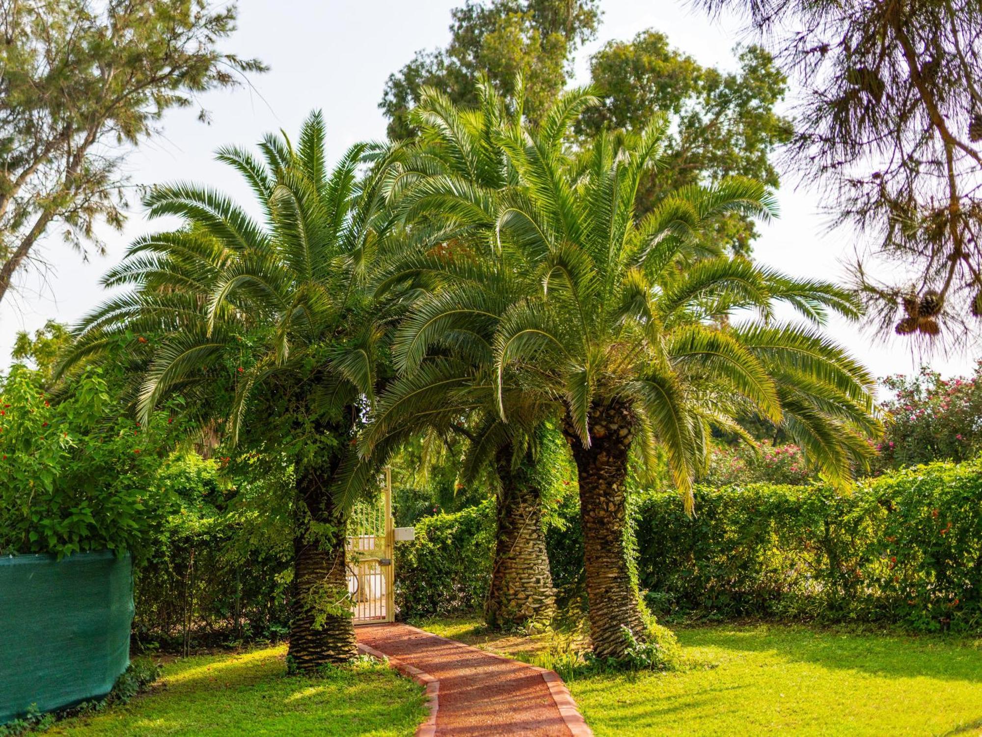 Asteria Collection Side Ξενοδοχείο Εξωτερικό φωτογραφία